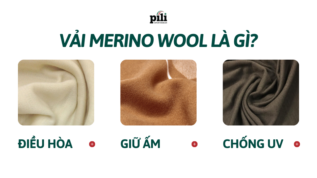 vải merino wool là gì